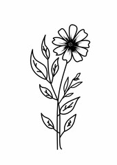 vector illustration of a flower