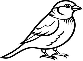 Obraz premium vector illustration of a sparrow