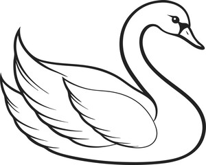 black swan vector illustration