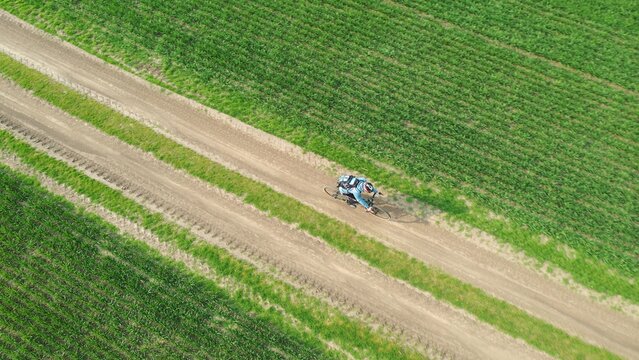 Aerial view of a cyclist on a bicycle riding on a country road between green fields. Cycling traveler riding across the field on a dirt road. - Powered by Adobe