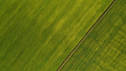 Aerial view from flying drone at green plantation.