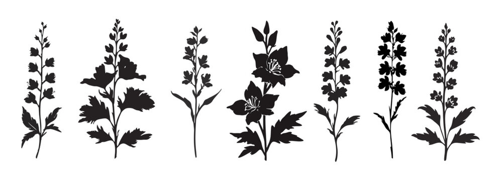 Set of black silhouette drawings of Larkspur, the July birth flower. Elegant floral design in botanical style, perfect for seasonal, decorative, or birth month themes. Transparent background
