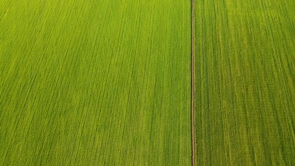 Aerial view from flying drone at green area.