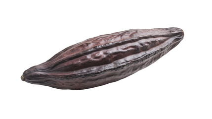 Rare Theobroma cacao pod Transparent background, PNG file