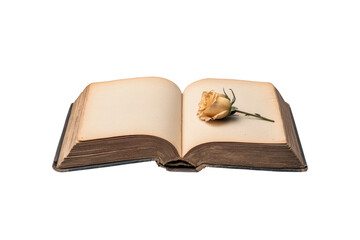 Opened Antique Book with Rose: An evocative image of a weathered, opened antique book with delicate, aged pages, delicately accompanied by a dried rose