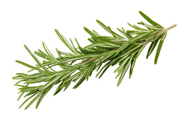 Fresh rosemary sprig (3)