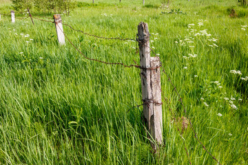 Old farm fence in overgrown green field