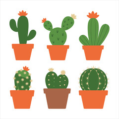 Decorative Green Cactus Set in Pots