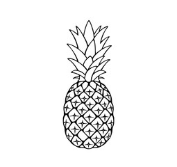 Fototapeta premium Pineapple Line Art: A stylish monochrome illustration of a whole pineapple, showcasing its textured skin and spiky crown against a white background.