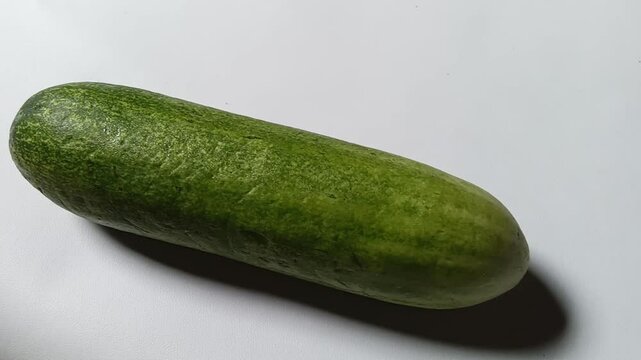 Cucumber (Cucumis sativus) is a plant that produces edible fruit.