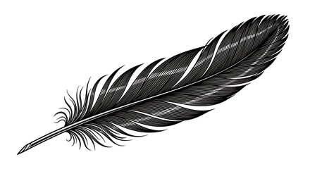 Realistic Feather Vector Illustration – Elegant Monochrome Bird Feather for Nature-Inspired Artworks
