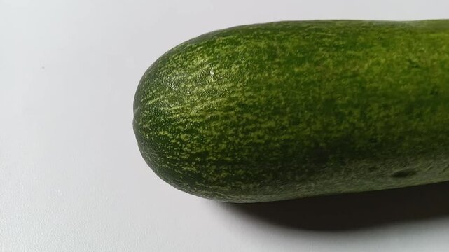 Cucumber (Cucumis sativus) is a plant that produces edible fruit.