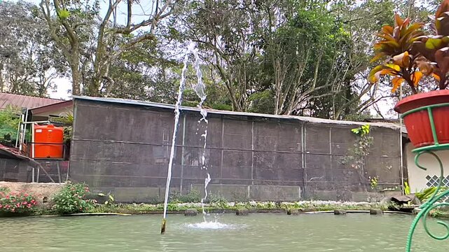 Natural backyard fishpond with central water spray, captured in slow motion as soft waves spread across the surface.
