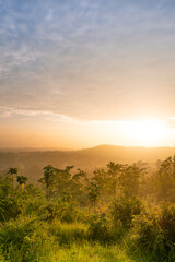 Scenic View of a Lush Forest at Sunrise with Golden Sunlight