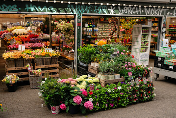 A vibrant outdoor flower stall in Amsterdam, showcasing a wide variety of fresh cut flowers and potted plants