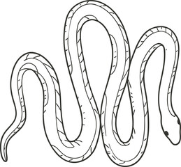 Minimalist snake line art illustration featuring a winding serpent design, perfect for tattoos, wildlife  symbolism art, and reptile-themed creative or commercial graphic projects.