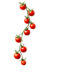 red tomato