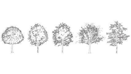 Obraz premium Detailed line drawings of trees with varying shapes and leaves