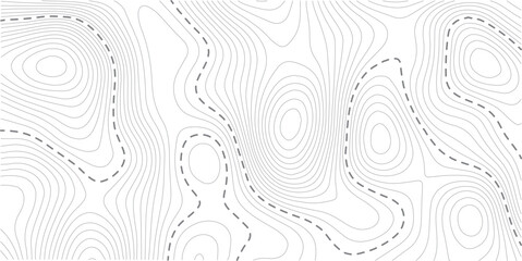 White wave paper curved reliefs abstract background, Abstract topographic contours map background. Vector geographic contour map Topography map background.