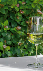 wine glass on a white table in front of a vertical plant wall