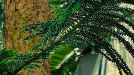 green leaves, flora in nature, plant foliage © MARIA