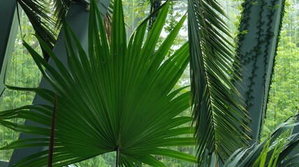 green leaves in the garden © MARIA
