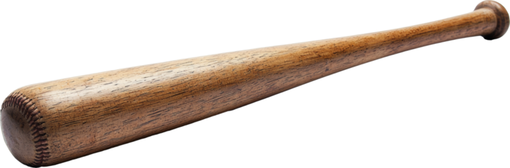 baseball bat
