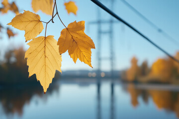 Obraz premium Golden autumn leaves reflect beauty of nature by river, showcasing vibrant colors and serene surroundings