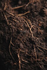 Fototapeta premium Exploring the Beauty and Importance of Organic Soil in Sustainable Agriculture Practices That Nurture Our Planet