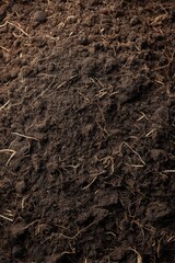 Exploring the Role of Soil and Microbes in Sustainable Organic Farming Practices for Healthy Ecosystems