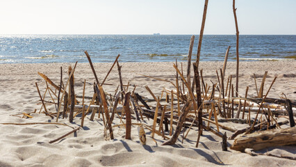 Summer beach landscape, in the foreground a composition of straws and wooden sticks on the sand