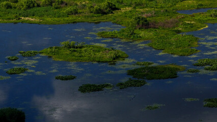 Kanapaha Lake On a Warm Spring Day