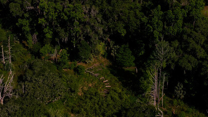 Kanapaha Lake On a Warm Spring Day