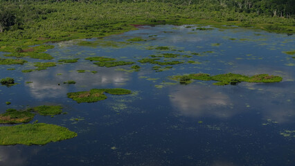 Kanapaha Lake On a Warm Spring Day