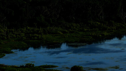 Kanapaha Lake On a Warm Spring Day