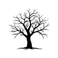 Obraz premium Solitary winter tree silhouette with intricate bare branches and exposed roots, a stark symbol of nature's cycle on white.