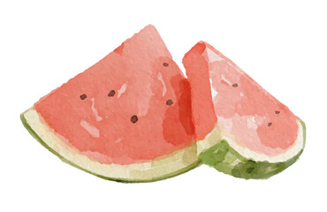 Hand painted watercolor watermelon slices