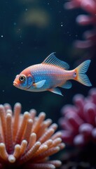 Fototapeta premium Tiny shimmering fish, iridescent scales, dappled light, coral backdrop, sparkle, iridescent, animal