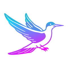 Fototapeta premium Arctic tern flying gracefully with colorful gradient wings 