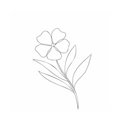 vector illustration of a flower