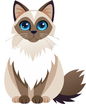 vector illustration of a cat Ragdoll