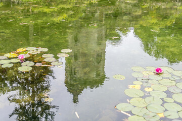 Quinta de Curvos in Forjaes, Portugal