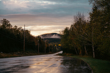 Obraz premium view of a road in a mountainous area with a wet surface and a forest on both side on a cloudy day
