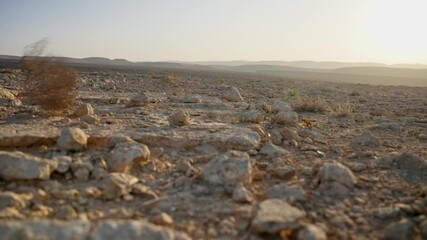 Profile shot of rolling tumbleweed blown by the wind in empty desert terrain. Desolation and emptiness in vast open desert during daytime. Outdoor in hot dry weather. No people or animals around