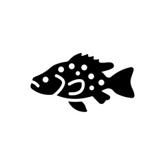 grouper fish icon