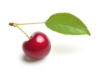 Single ripe cherry with a green leaf attached, isolated on a white background