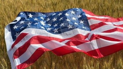 An American flag waves gracefully over a golden wheat field, symbolizing patriotism, harvest season, and rural life evokes Americana and agrarian themes - Powered by Adobe