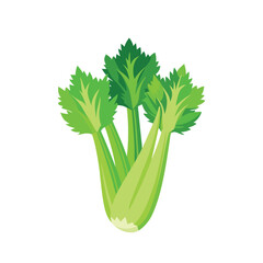 celery isolated on white background
