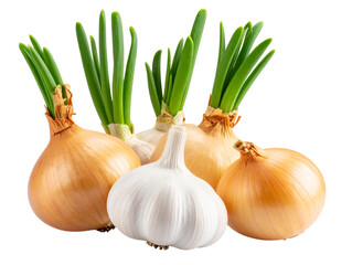  Natural, realistic composition of young onion stalks with fresh leaves alongside 