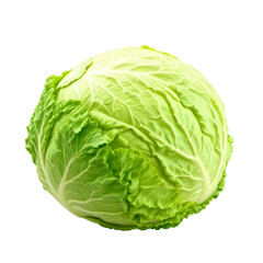 Fototapeta premium Fresh Green Cabbage Head Isolated on Transparent PNG